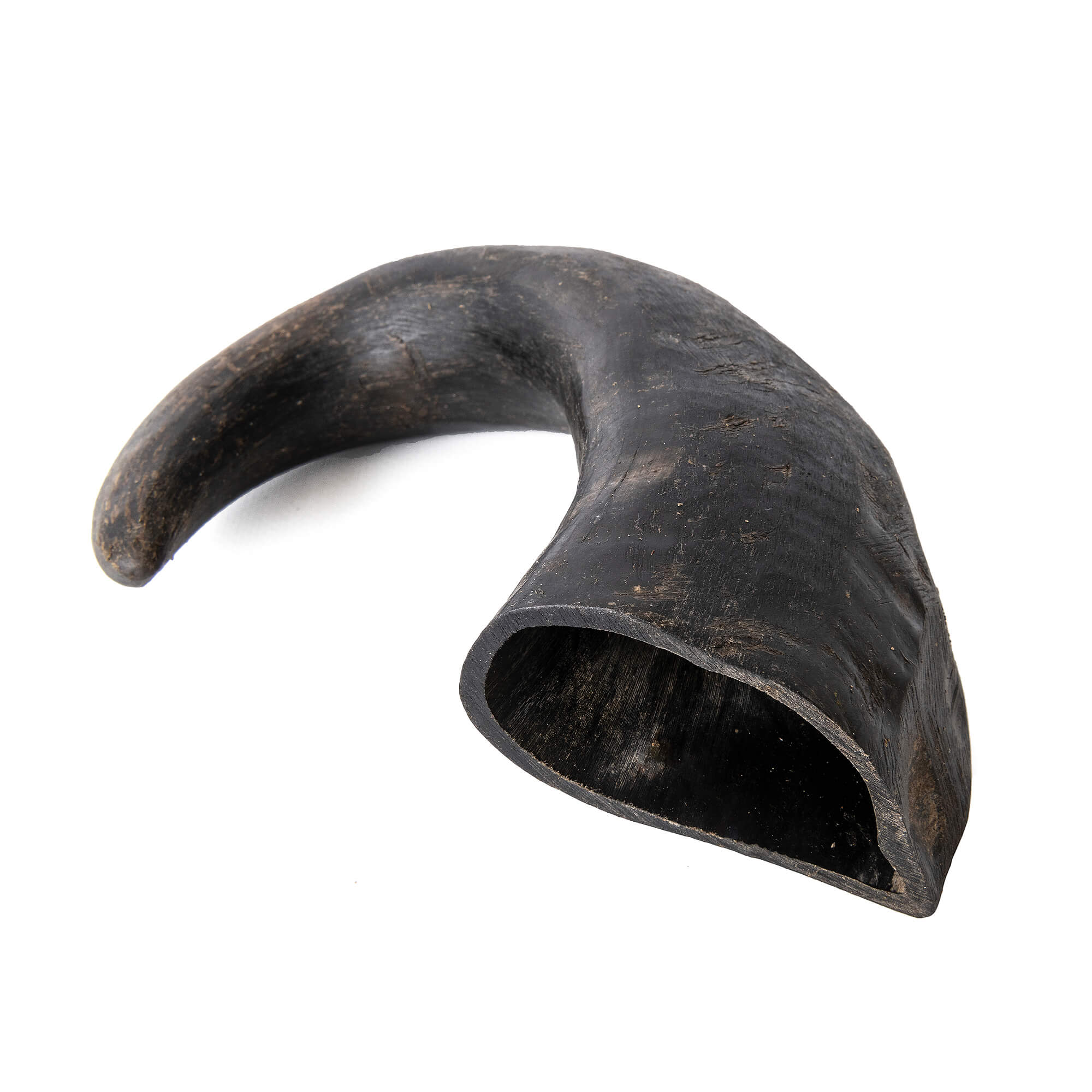 bePure Buffalo Horn für Hunde L (20cm/350g)
